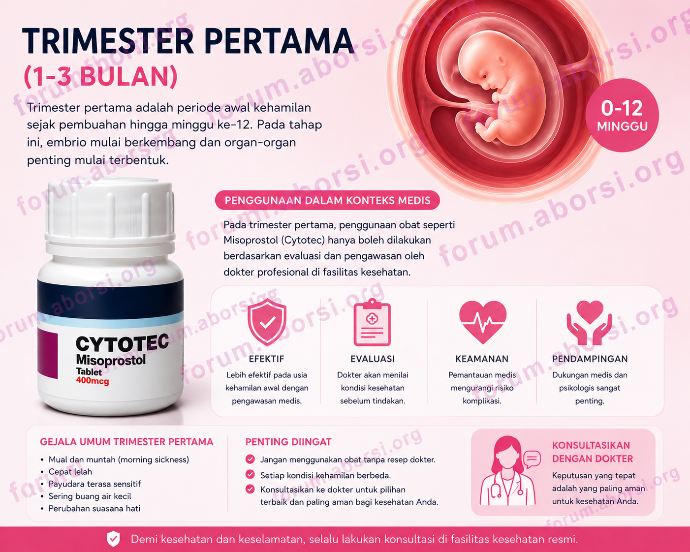 Obat-Aborsi-Cytotec-Trimester-Pertama-1-3-Bulan.png